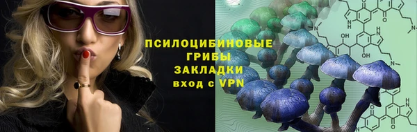 mdpv Новодвинск