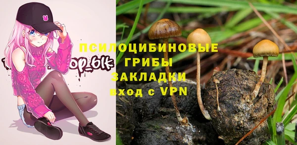 mdpv Новодвинск