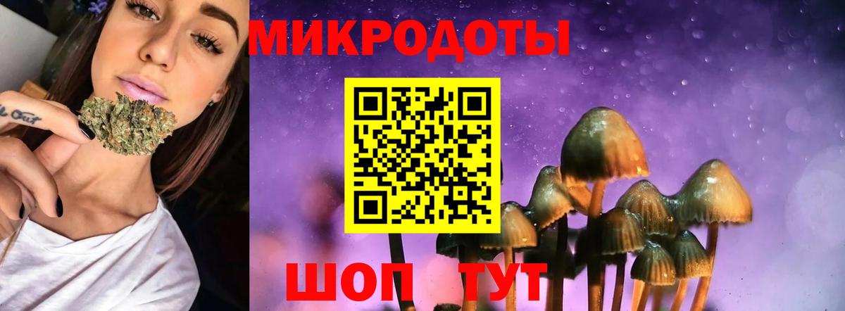 Псилоцибиновые грибы мицелий  Туймазы 