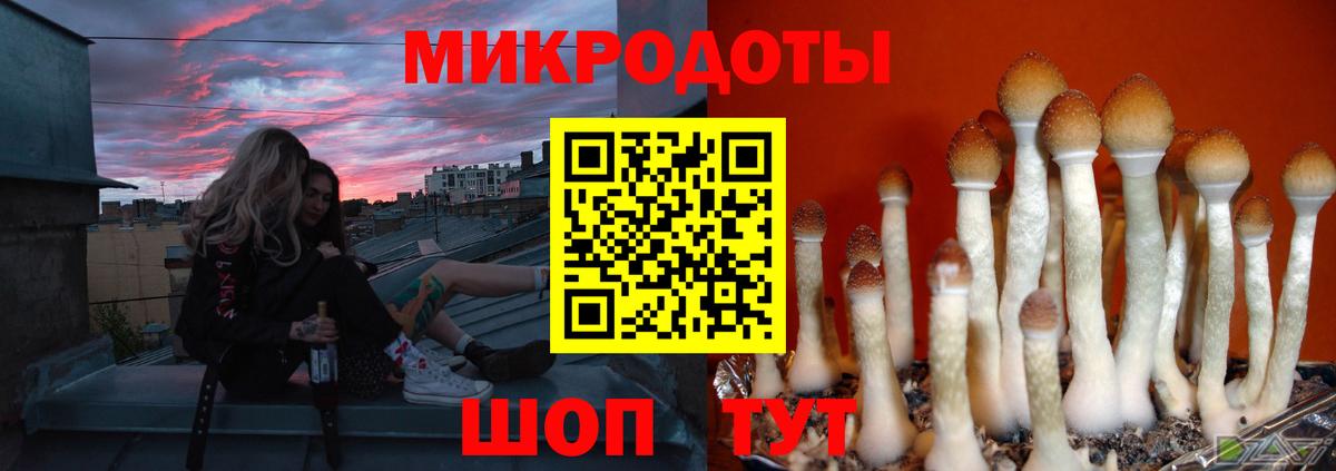 Галлюциногенные грибы мицелий Туймазы